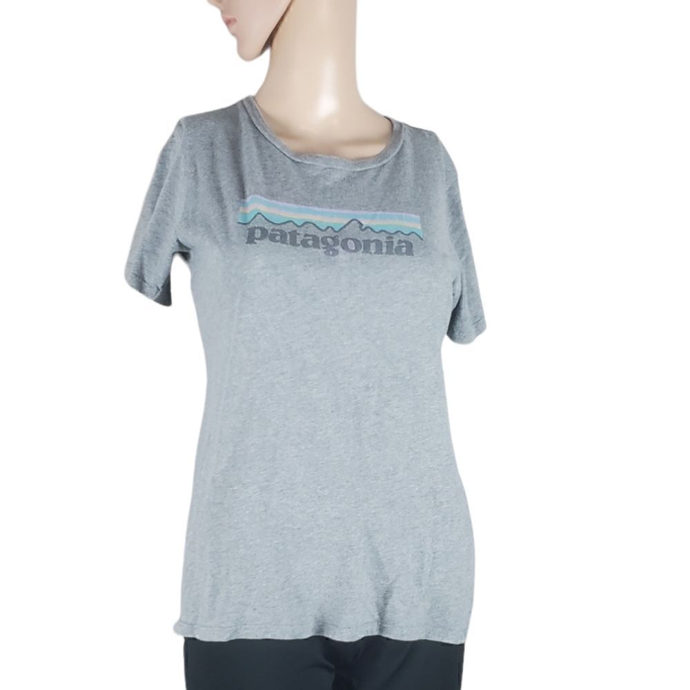 Patagonia Gray Organic T-Shirt  